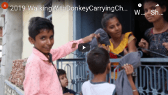 Walking with donkey carrying&nbsp;charpoi