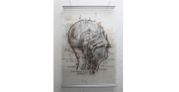 Echoic billboard – Kosmos&nbsp;–